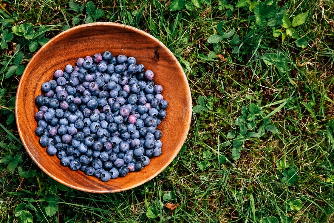 ckckckpa's tweet photo. [Just tried @localfarm’s fresh wild blueberries! Plump, juicy, and packed with natural sweetness—zero aftertaste, perfect for morning oats or snacking. A top pick for summer produce! ]， https://t.co/SeKX2wmCwj