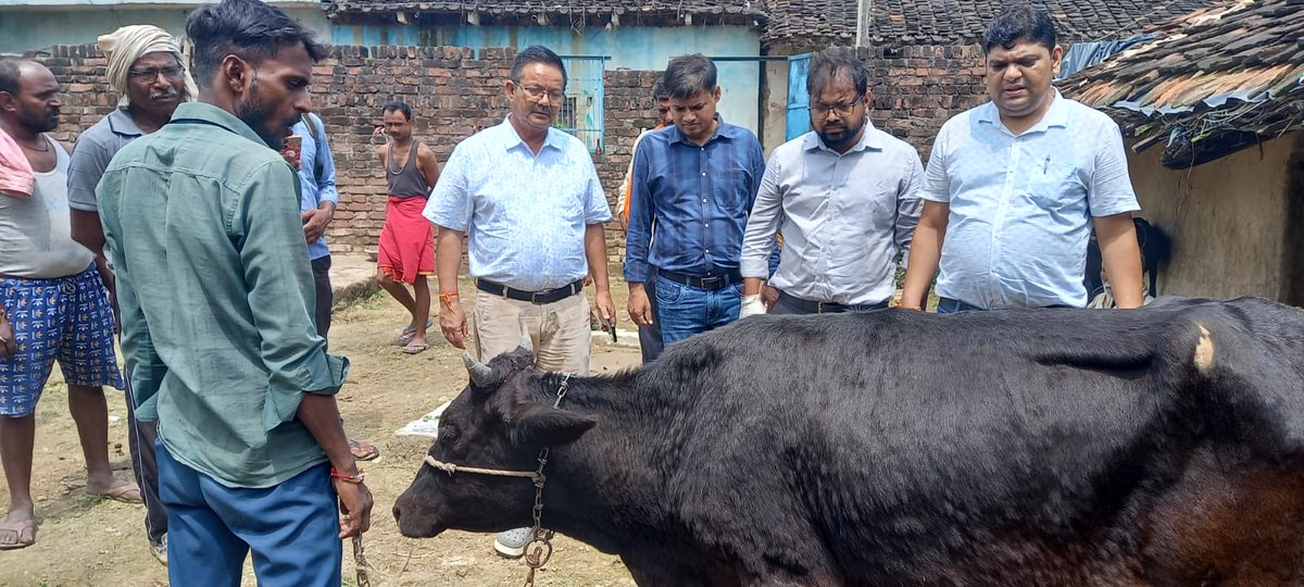 BUAT_BANDA's tweet photo. BUAT Expert Team Visits Chitrakoot to Assess Livestock Health After Flooding and Heavy Rainfall

#LivestockHealth #FloodResponse #AnimalHealth #Chitrakoot  #buatbanda https://t.co/xY85XtdQIZ