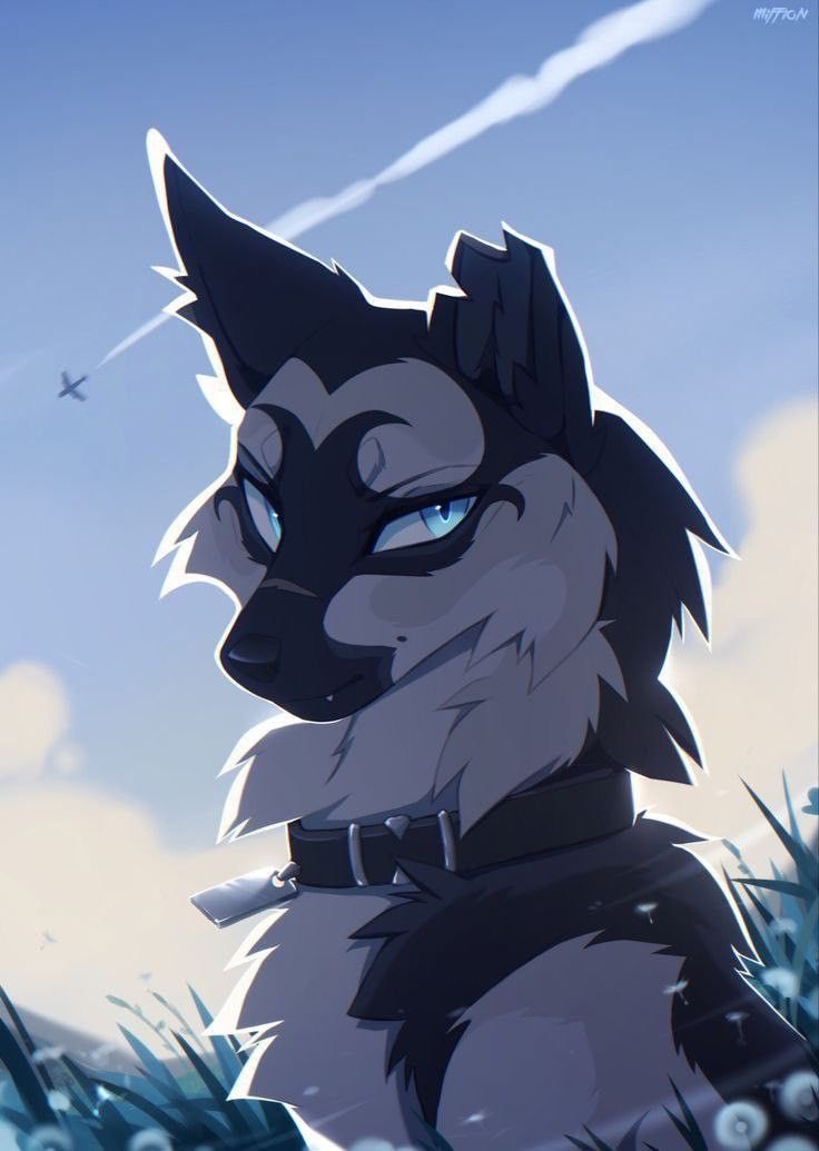 JosieArtist0's tweet photo. Collar on, ears up and the sky’s calling.
Adventure mode activated.
#WolfArt #AnthroWolf #DigitalArt #FurryArt #BlueEyes #AnimalArt #Illustration #ArtOfTheDay #CharacterArt #Mygon #WolfVibes #CuteButFierce #OutdoorVibes https://t.co/rvILs2aZMU