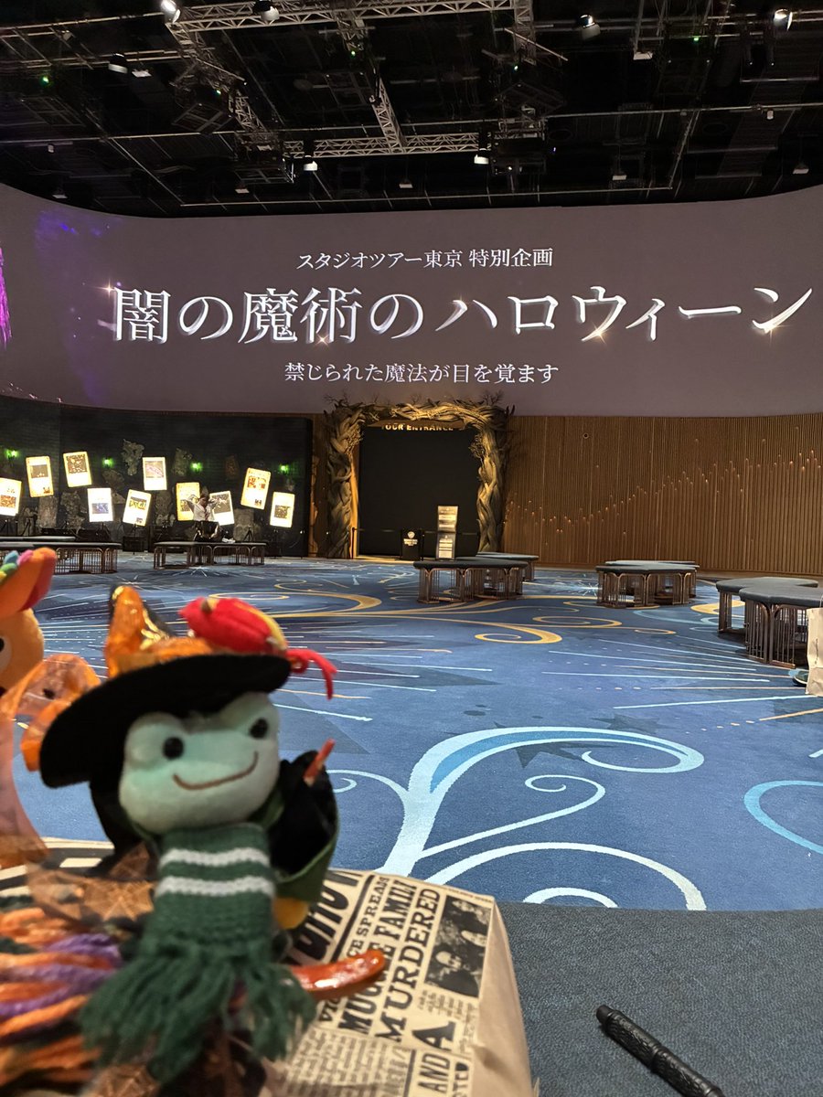 piyodamon's tweet photo. 初めて行ってきました！
凄かった！13:30から閉園までいたけど時間全然足りなかった！また行きたい！

#ハリポタツアー https://t.co/Df5oPQa7rl