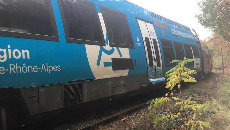 RmrhRet93702's tweet photo. Jour 1 - Dénoncez TCL et Auvergne Rhône Alpes SNCF https://t.co/LWREgbLOG3