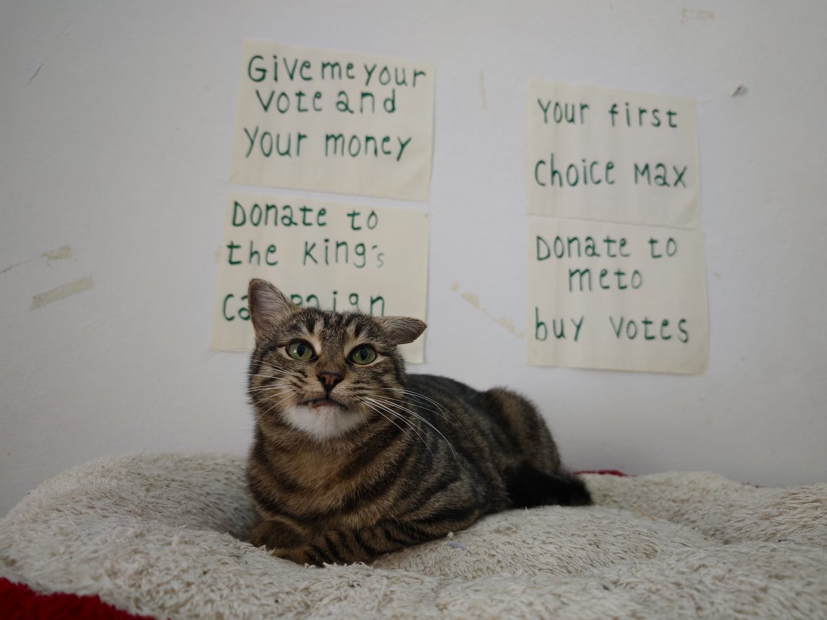 SyrianSanctuary's tweet photo. King Maxi is seeking financial support to bribe—er, he mean, to explain—why it is important to remain a monarchy.
Do you want to be his Elon ?😎🤗 https://t.co/LAJncypETx