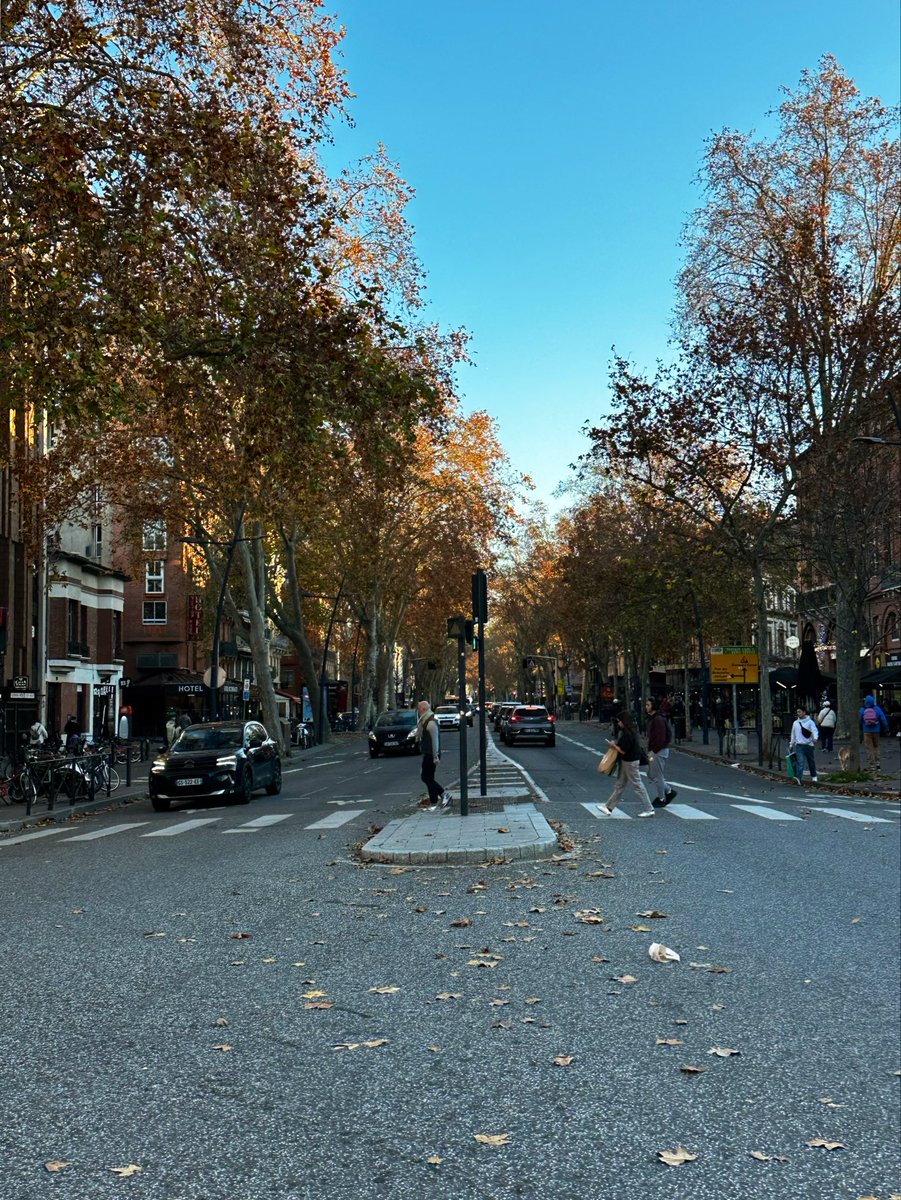 MesbahA01's tweet photo. 🍂 https://t.co/JQnhiykjeh