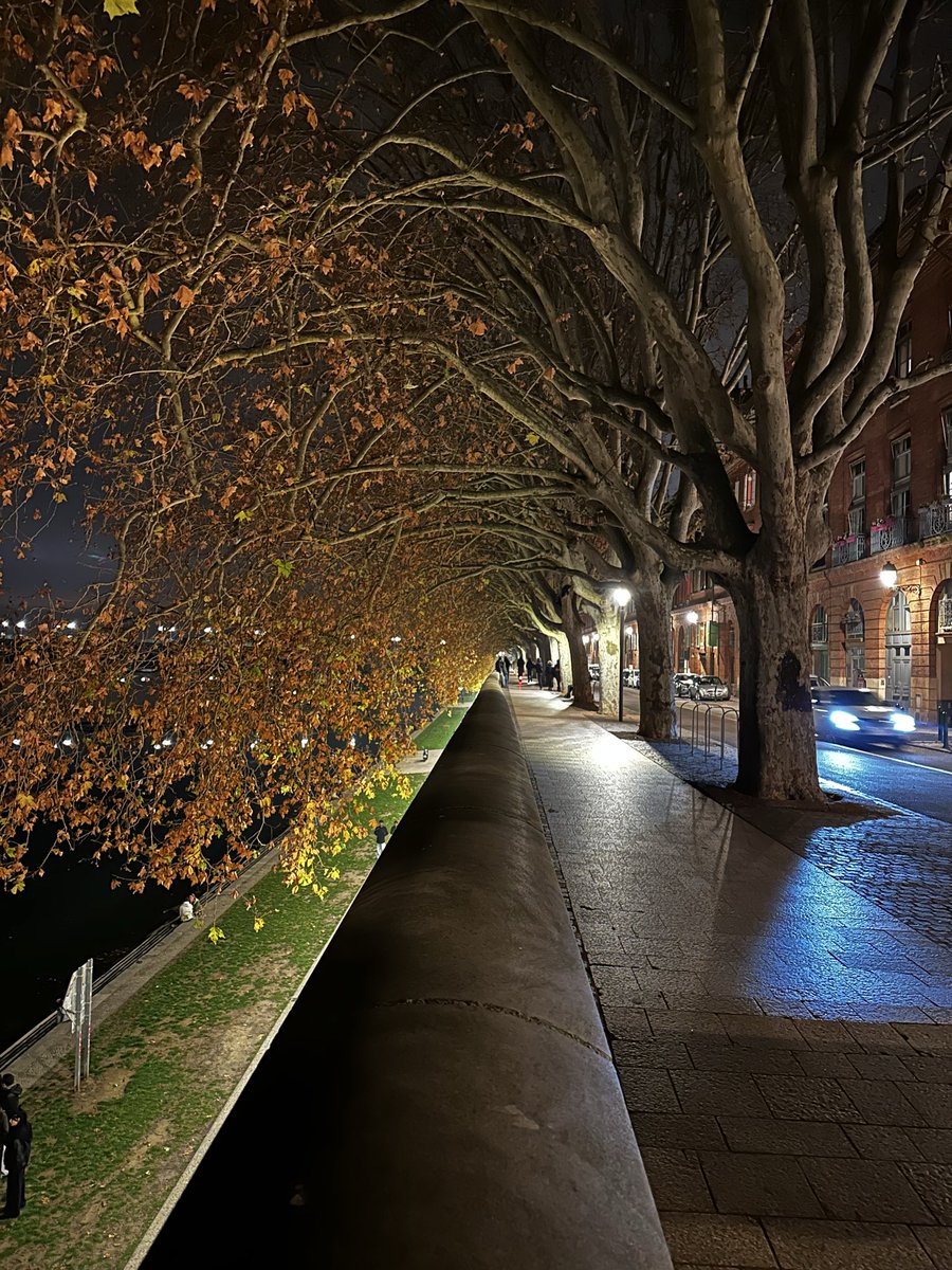 MesbahA01's tweet photo. 🍂 https://t.co/JQnhiykjeh