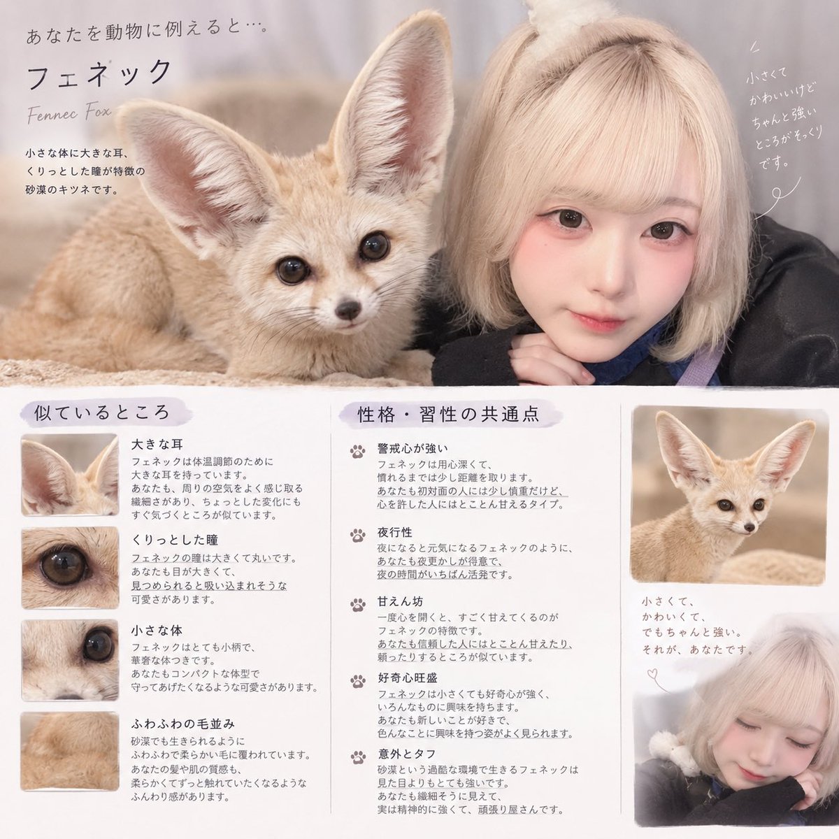 noyuuuu_0's tweet photo. やこうせい https://t.co/qH2nPnHBj0