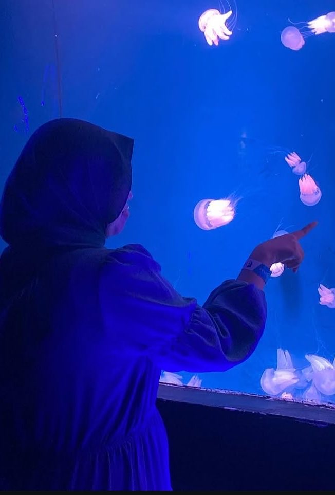 Bluecaratishere's tweet photo. Hari ini kitaaa kemanaaa lagiii~~

#CSD #CaratSelcaDay #HOSHI https://t.co/JLNHWBq7Ku