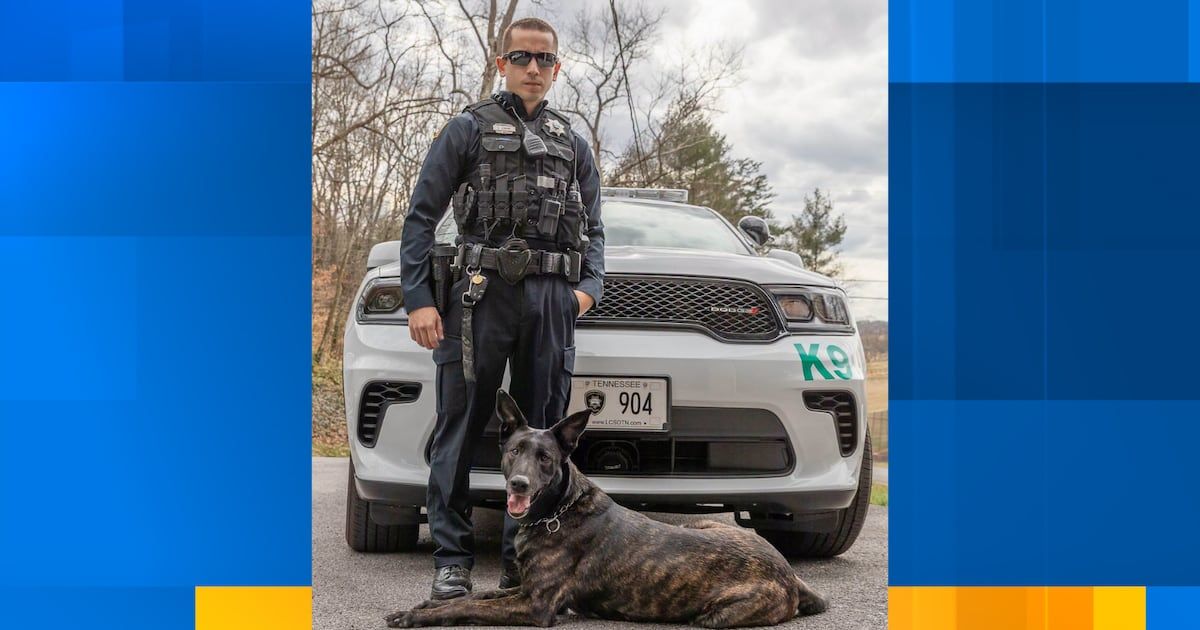 ppak9org's tweet photo. K9 Deja-Vu of the Loudon County Sheriff's Office, TN passed at 12. A decade of service. First partnered with Sgt. Chris Jenkins — killed in duty in 2022 — then with his son Clay. Her father K9 Dante also passed this year. 🐾 https://t.co/SpaLYGvhik #PPAK9 #K9 #K9Unit #InMemoriam https://t.co/3aWbHBbhgG