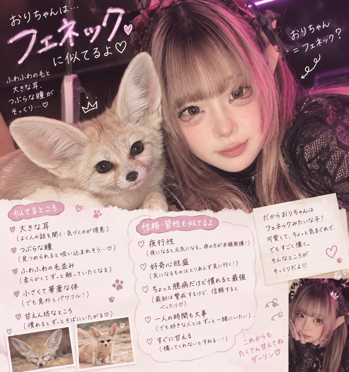 orichan_wisp's tweet photo. みんなの流行りに乗っかるぜ!!!!!!
おれはフェネックに似てるらしい https://t.co/B4uumdz3hh