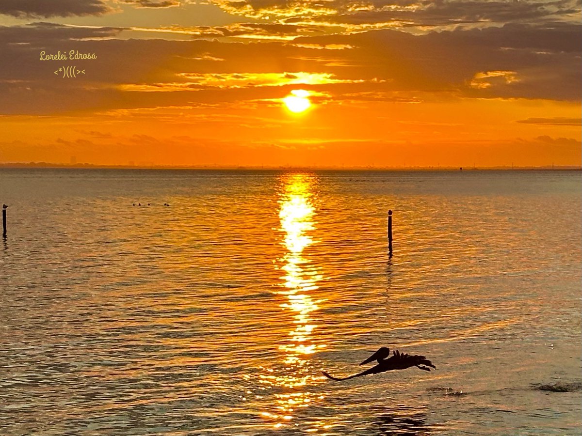 madbunting2's tweet photo. For @aHeartSoFull 🙏
Who’s up for another Photo Share?
Let’s share any image that has orange in it 🍊
Praying for you Tina 🙏💗@aHeartSoFull https://t.co/Ds08RDKH23