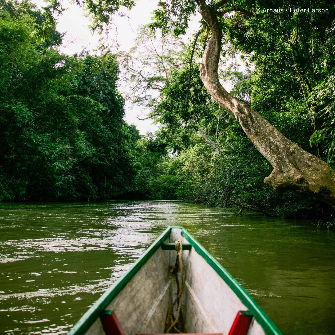 A canoe glides along a lush, green jungle river surrounded by dense vegetation and tall trees.