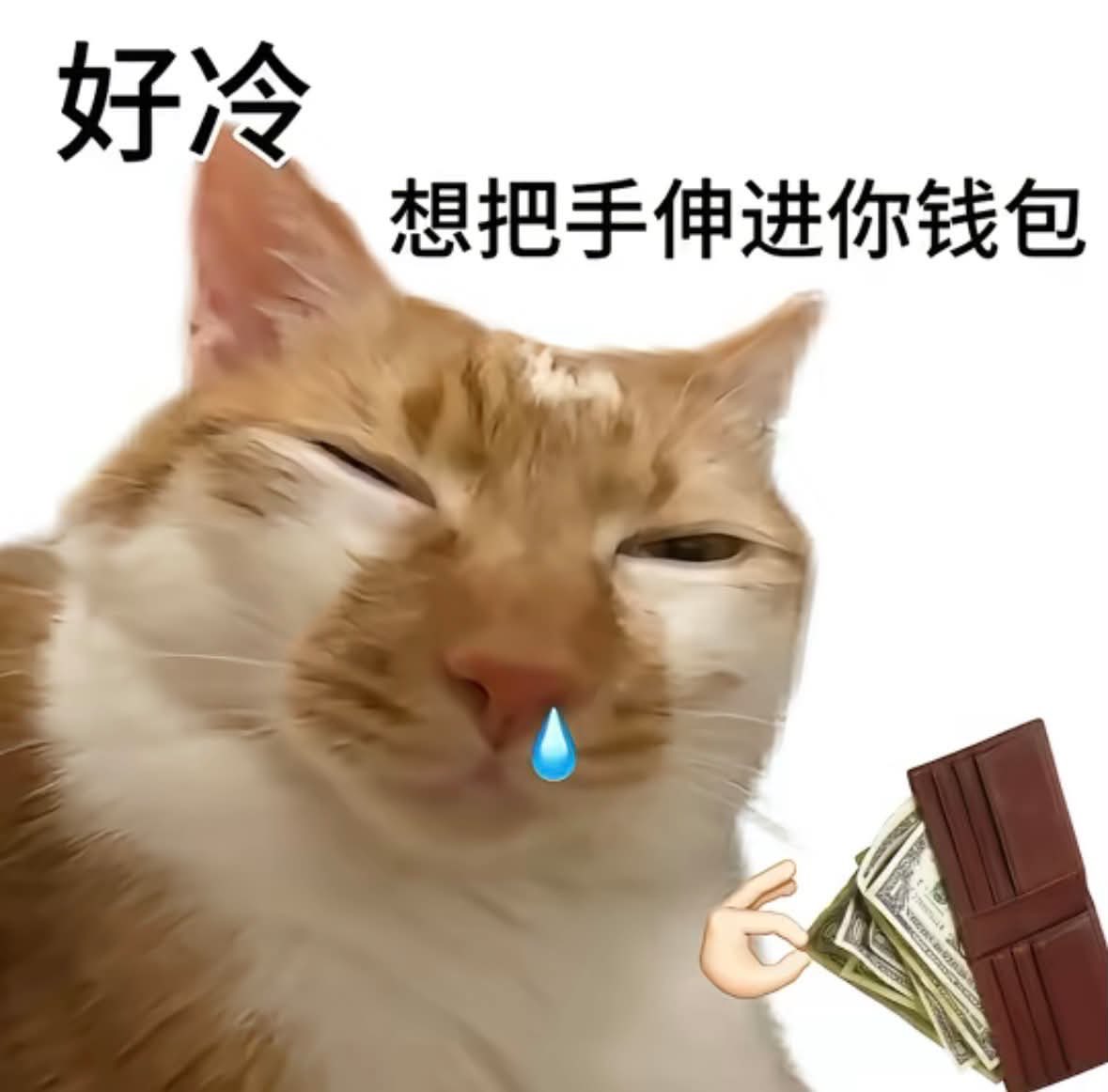 Leonnn_che's tweet photo. 等等要睡覺了
過來抱抱 https://t.co/5ETmxvPNtw