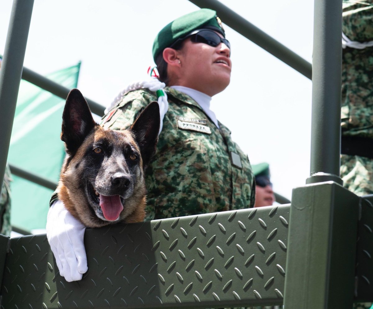 rosaicela_'s tweet photo. Las mujeres somos protagonistas de la historia y del presente de #México. En el #DesfileCívicoMilitar2026, integrantes de las #FuerzasArmadas marchan con marcialidad, orgullo y vocación de servicio.🇲🇽 #16DeSeptiembre @Claudiashein @SEMAR_mx @Defensamx1 @GN_MEXICO_ https://t.co/1XMzK778cX