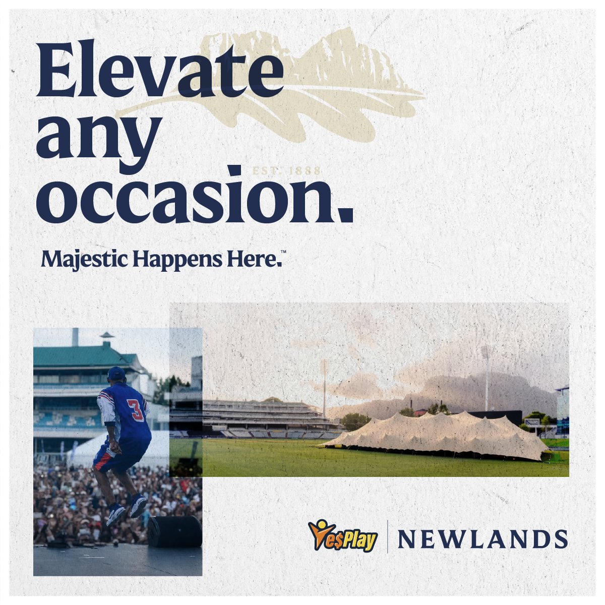 NewlandsCPT's tweet photo. YesPlay Newlands Cape Town.   

#MagesticHappensHere #NewlandsCapeTown #WPCricket #TheFeelingofYes https://t.co/GZhwjasdsc