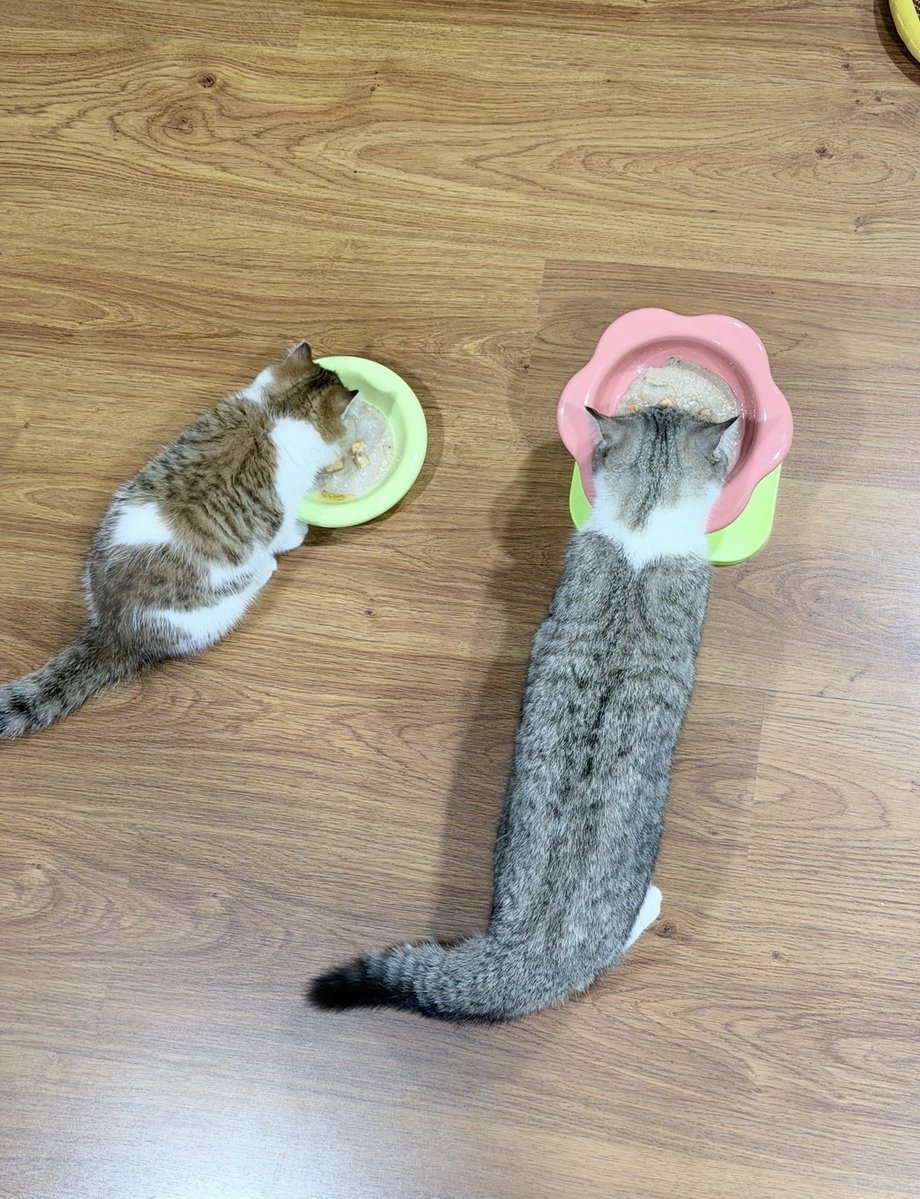 whoispluggy's tweet photo. ผ่านไปแปปเดียวเอง https://t.co/Di38xceini