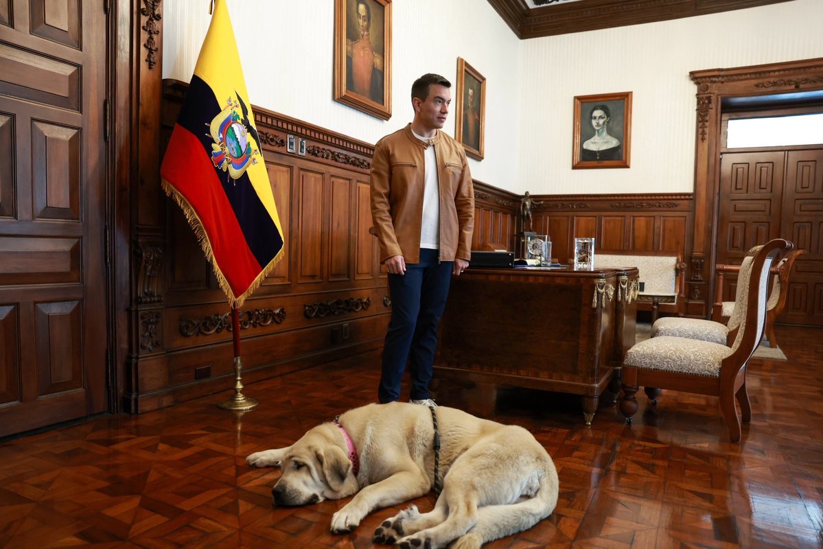 TheChipi's tweet photo. Le copia a Correa lo de tener un perro en Carondelet.

Para cuando le copia lo de educación, salud e hidroeléctricas? https://t.co/pI2HX7e1jn