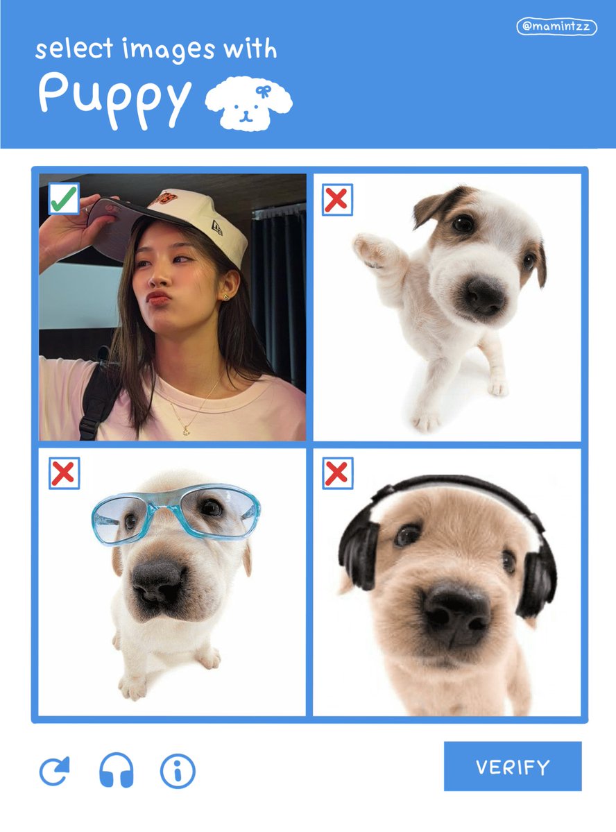 Shaa0v0's tweet photo. Puppy૮᎔•⩊•᎔ა and Cat ^ ̳- ‧̫ • ̳^ฅ

#MingmingNepjune 
 #Mingkanyas #Nepjuneys https://t.co/pbMHI1QhHB