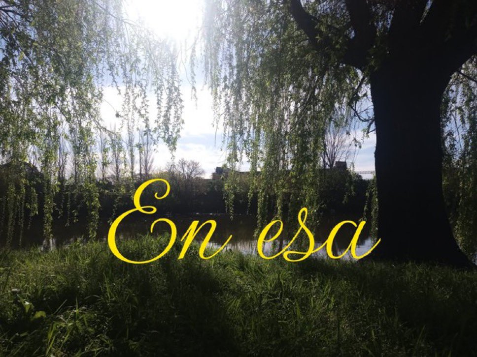 s0fit444's tweet photo. cuando me doy cuenta que estoy pensando muchas boludeces me voy a comprar una lata de birra y a reflexionar tirada al rayo del sol https://t.co/CaYCRPULQp