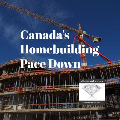aDiamondMortg's tweet photo. Canada’s Homebuilding Pace Down

https://t.co/3smNAFllNC

#aDiamondMortgage, #TheDifferencemortgage, #yycHomeBuyers, #CalgaryHomeBuyers, #EquityFinancing, #Refinancing, #yycRealEstate, #CalgaryHomes, #CalgaryRealEstate, #calgaryrealtor, #CalgaryHomesForSale, https://t.co/RIoDUeuh1D