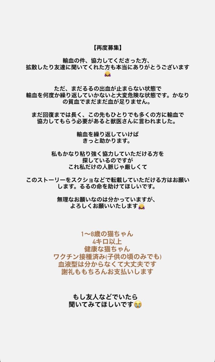 ranchankeichan's tweet photo. 友人の猫ちゃんに手を差し伸べてくださる方、探しています。
いつでもご連絡くださると幸いです。
以下転載です。DMなど待ってます。 https://t.co/vvrRuPXTGO