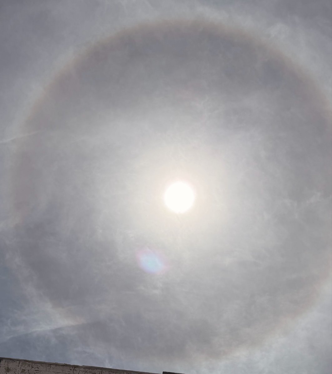 vallesmx's tweet photo. Don’t look up !!!
#HaloSolar
#Sol https://t.co/MqI7HNxSG7
