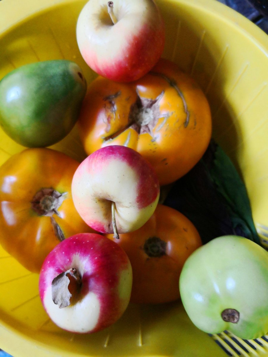 cozyv548693's tweet photo. Fresh organic veggies u0026 farm-made eggs restocked at our neighborhood market! Grab yours before they’re gone—perfect for your weekend meal prep https://t.co/o7AhDDBC4I