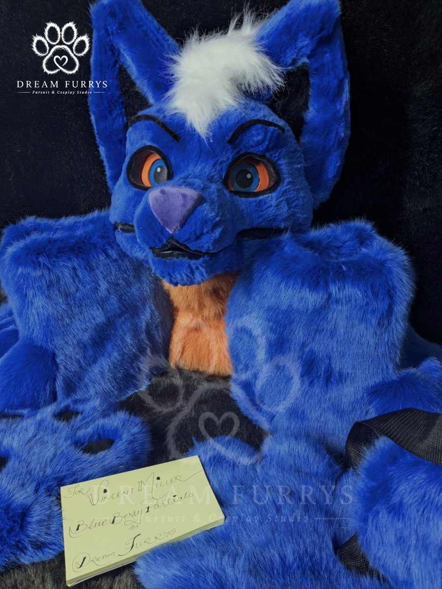 dreamfurrys's tweet photo. Say hello to Blue Berry!💙
A vibrant custom partial suit crafted by Dream Furrys, bringing this playful character to life. #DreamFurrys #Fursuit #BlueBerry #FursuitsEveryday #commission #slotbooking #furry #fursuitcoms #blueberry https://t.co/nH1QzGq9FD