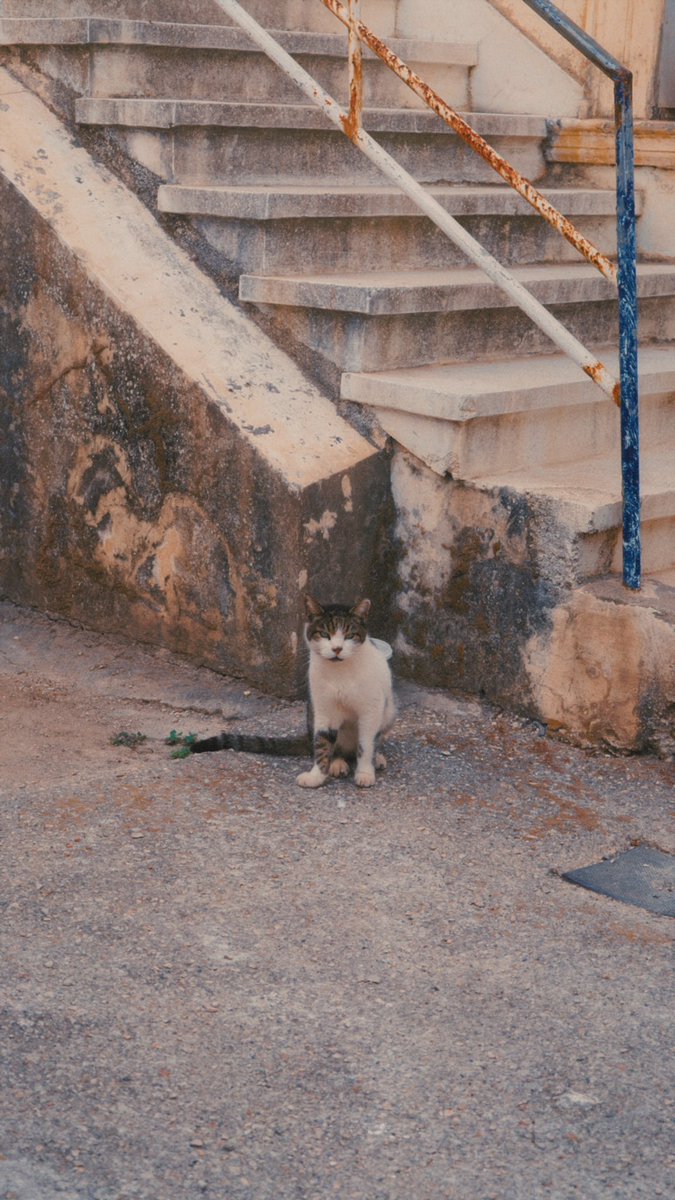 flooweroong's tweet photo. Du coup on prend le temps avec eux, et petite photo souvenir https://t.co/3z7LJcmMB2