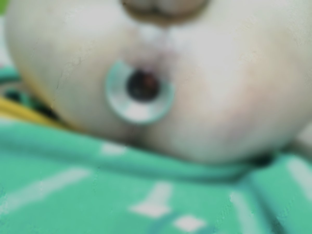 Stzz001's tweet photo. 🍩 https://t.co/2x6OHMIfi0