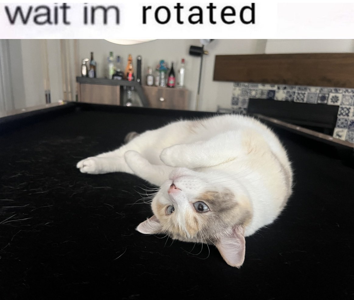fatfatpankocat's tweet photo. https://t.co/BUiSKtgX7O