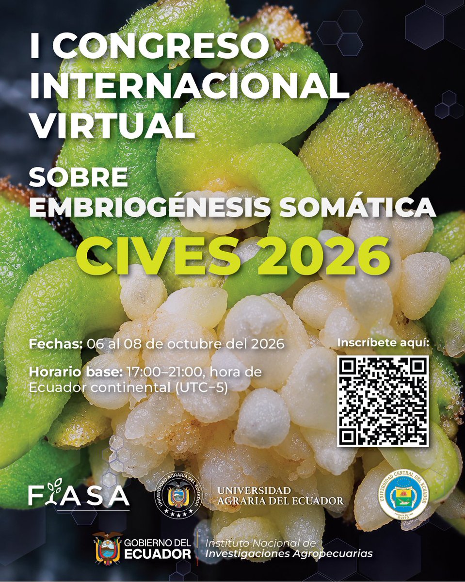 INIAPECUADOR's tweet photo. La ciencia se conecta en CIVES 2026. 🌱

El I Congreso Internacional Virtual sobre Embriogénesis Somática te invita a ser parte de este Encuentro Internacional.

📅 06, 07 y 08 de octubre 
🕔 17h00–21h00
💻 Evento virtual

📲Participa escaneando el código QR. https://t.co/qcFIf78f9o