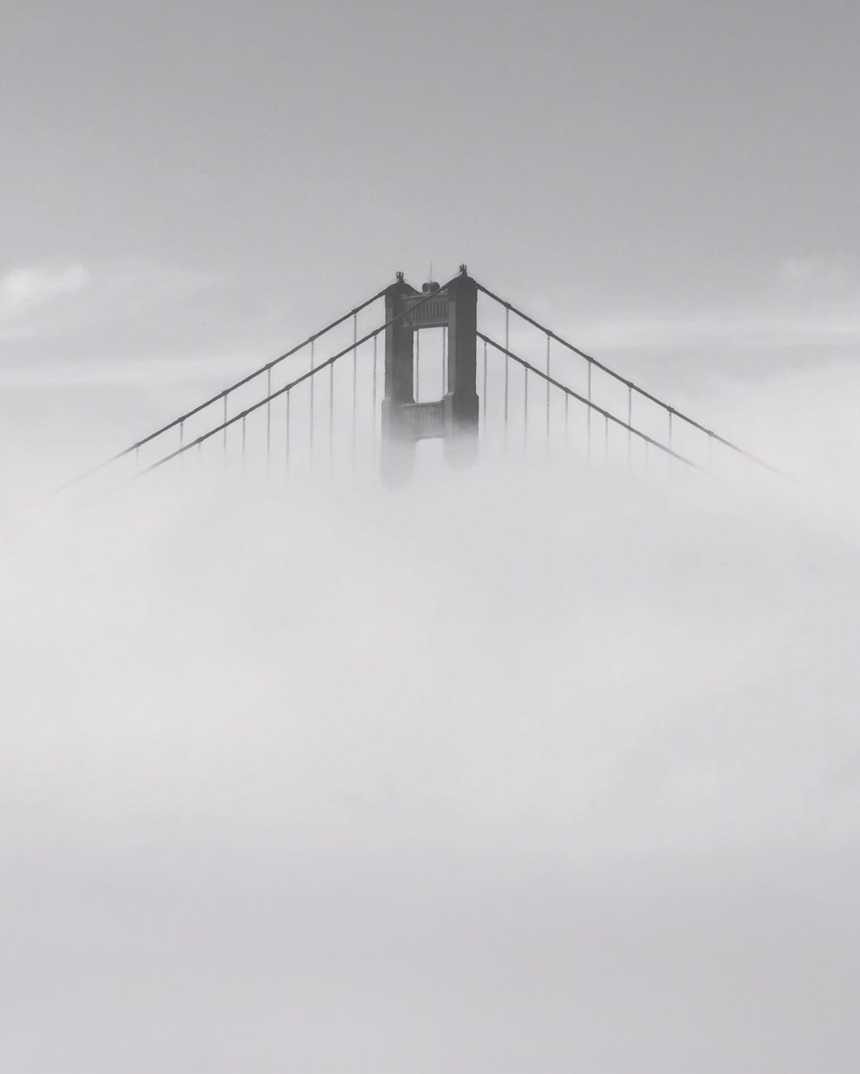 yltech's tweet photo. Finally, San Francisco on iPhone 18 Pro. 😮‍💨

📸 Shot on iPhone by @jasonvmedia https://t.co/l04q0rUTKL