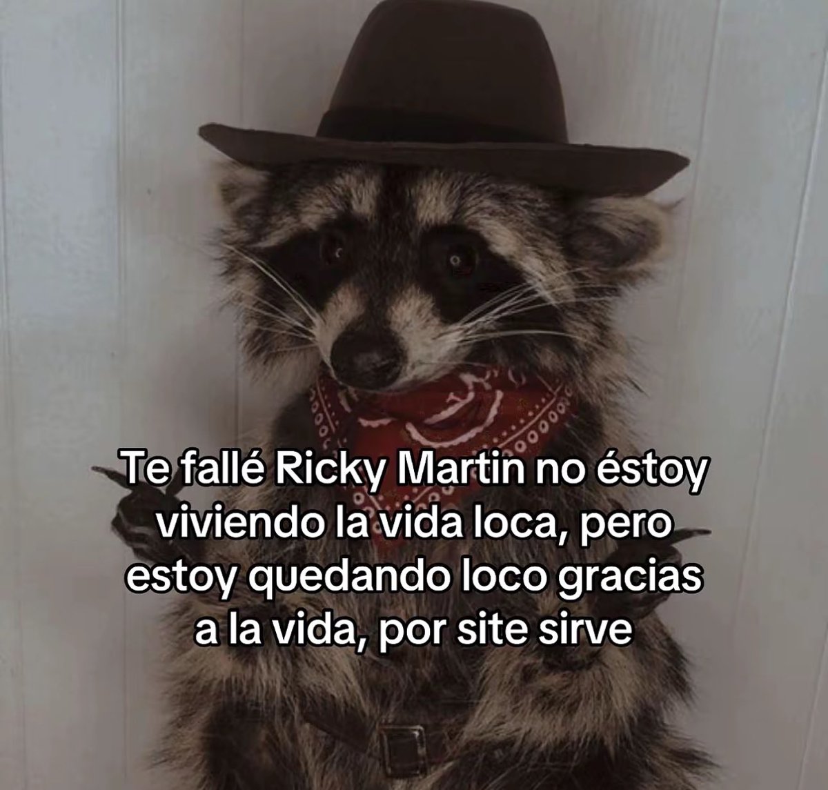 skereunpesado's tweet photo. https://t.co/AXzzFp7MUe