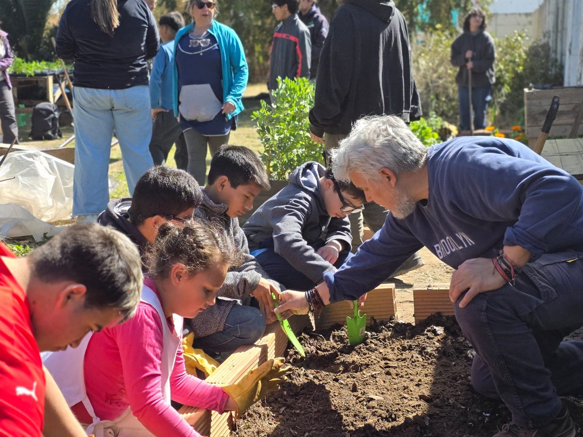 Val_Fabian's tweet photo. 🌱Hoy realizamos trasplante de acelga, tomate🍅 y zapallito junto a la #Escuela512 y el #CFI1.

En la huerta de la #Escuela512 trabajamos junto a alumnos, docentes y toda la comunidad educativa, compartiendo una jornada de aprendizaje, inclusión y trabajo en equipo.👩‍🌾👨‍🌾💚

Cada trasplante es una oportunidad para aprender haciendo, para compartir saberes y para entender que la huerta🌱 también es un espacio de encuentro y participación. 

Una iniciativa que crece con el compromiso de los chicos y chicas, el acompañamiento de los docentes y una comunidad que se involucra a hacer su propio proyecto.🌱🏫
Porque cuando sembramos juntos, cosechamos mucho más que alimentos: cosechamos aprendizajes, vínculos y valores.❤️

Y seguimos fortaleciendo ese hermoso camino de la huerta a la cocina, donde lo que se siembra, se cuida y se cosecha se convierte en alimento para compartir y disfrutar. 🍅🥬👨‍🍳

#HuertasDeLaCiudad del @municipiobahia.