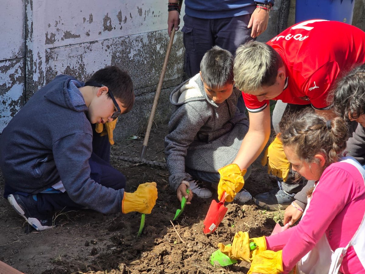 Val_Fabian's tweet photo. 🌱Hoy realizamos trasplante de acelga, tomate🍅 y zapallito junto a la #Escuela512 y el #CFI1.

En la huerta de la #Escuela512 trabajamos junto a alumnos, docentes y toda la comunidad educativa, compartiendo una jornada de aprendizaje, inclusión y trabajo en equipo.👩‍🌾👨‍🌾💚

Cada trasplante es una oportunidad para aprender haciendo, para compartir saberes y para entender que la huerta🌱 también es un espacio de encuentro y participación. 

Una iniciativa que crece con el compromiso de los chicos y chicas, el acompañamiento de los docentes y una comunidad que se involucra a hacer su propio proyecto.🌱🏫
Porque cuando sembramos juntos, cosechamos mucho más que alimentos: cosechamos aprendizajes, vínculos y valores.❤️

Y seguimos fortaleciendo ese hermoso camino de la huerta a la cocina, donde lo que se siembra, se cuida y se cosecha se convierte en alimento para compartir y disfrutar. 🍅🥬👨‍🍳

#HuertasDeLaCiudad del @municipiobahia.