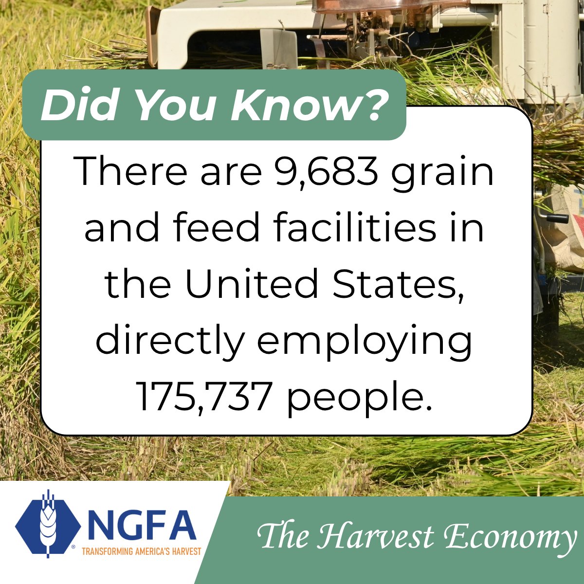 NGFA's tweet photo. Harvest season fuels more than the work happening in the field. It supports businesses, creates jobs and strengthens communities across the country.

That’s the impact of the harvest economy. Learn more here: https://t.co/H1d1M4TfGv https://t.co/9R3b8Ng5SR