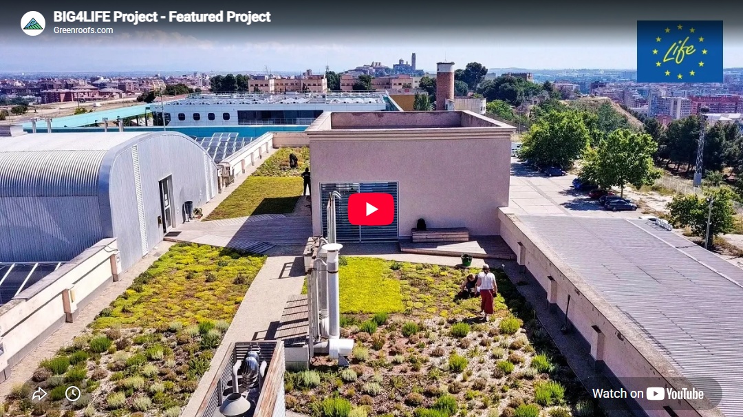 greenroofs's tweet photo. Featured Project: @big4lifeproject, Spain by BIG4LIFE, University of Lleida + a collaboration of various partners & designers
#architecture #biodiversity #climatechange #greeninfrastructure #greenroofs #greenwalls #sustainability
https://t.co/t711OQcSOu
https://t.co/TcKSqHKPNF https://t.co/1rbERthCHD