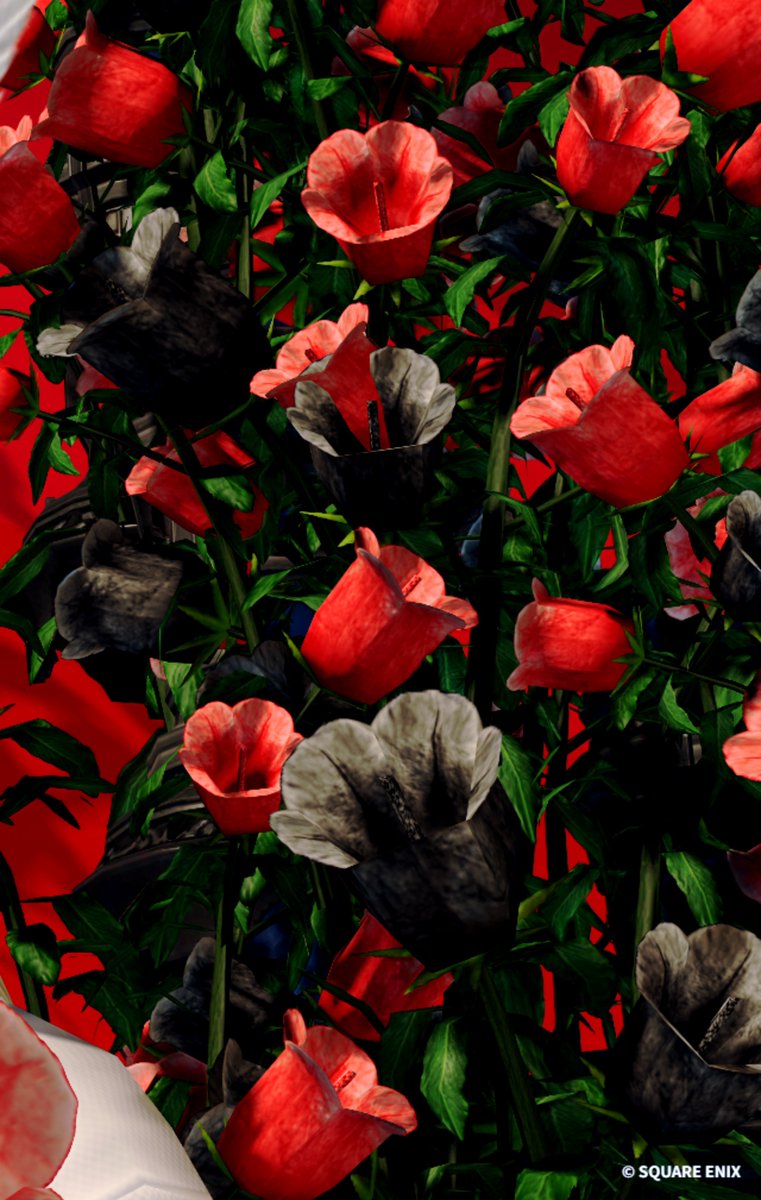 dg_ucl's tweet photo. 𝐺𝑜𝑜𝑑 𝑚𝑜𝑟𝑛𝑖𝑛𝑔︎🌹
#eo_Re　#もかツール
#FF14  #おはウサ https://t.co/egwx7ohomF