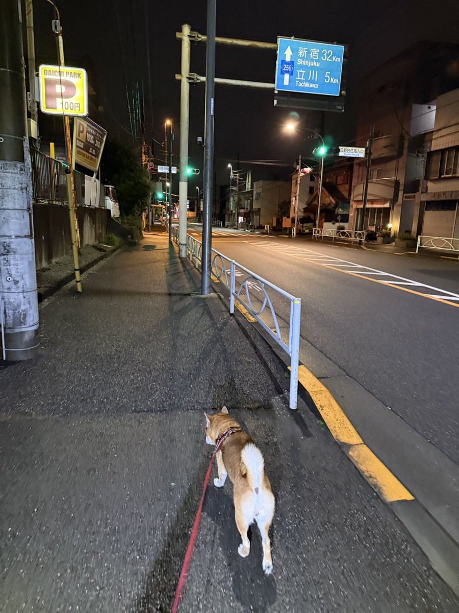 Jin_endo171206's tweet photo. 神(じん)です🐕
ゴミ拾いは福拾い☺️
今朝も散歩&ゴミ拾い部活動〜🤗
シルバーウィークがくるよ✨
どう過ごそうかな〜😄
愛犬と共に一日を愛おしむ❤️
#心の番犬
#セラピードッグ
#SDGsペット共生社会
#VAN
#柴犬
#遠藤神
#ゴミ拾い活動
#やすし犬舎
#ヤマザキ動物看護大学
#1971 https://t.co/x8Y1WCkdpg