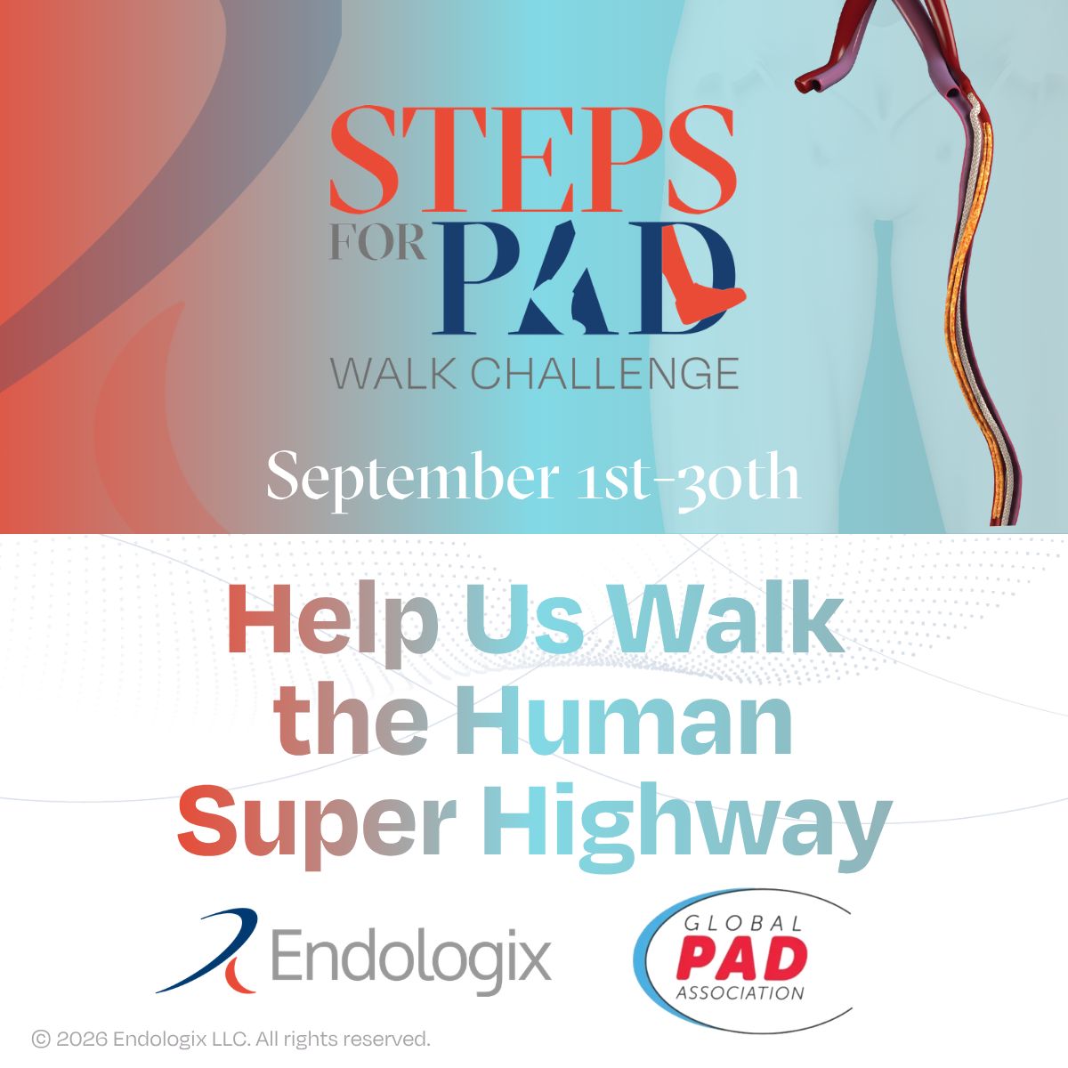 RheveraMedical's tweet photo. September is #PADAwarenessMonth! To help raise awareness, we're partnering with the Global PAD Association for the first ever #PADAwareness Month walking challenge! Register now as an individual or on a team and help us walk toward a goal of 60k miles, the number of miles of vessels in the circulatory system. 

Challenge runs September 1-30.

🔗https://t.co/yDSU3TekRH

Raise #PAD awareness, one step at a time. Learn more about PAD at https://t.co/UTVICi4j8l.

@WayToMy_Heart #PADmonth #peripheralarterydisease