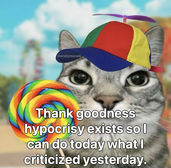 literallymecats's tweet photo. https://t.co/hheOl0at8m