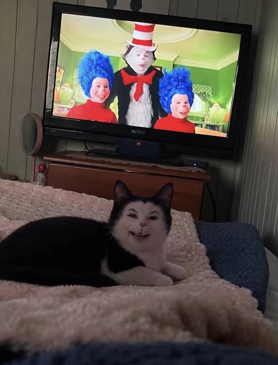 rpmculture's tweet photo. Spooky 🐱 https://t.co/iJXA4JaNNr
