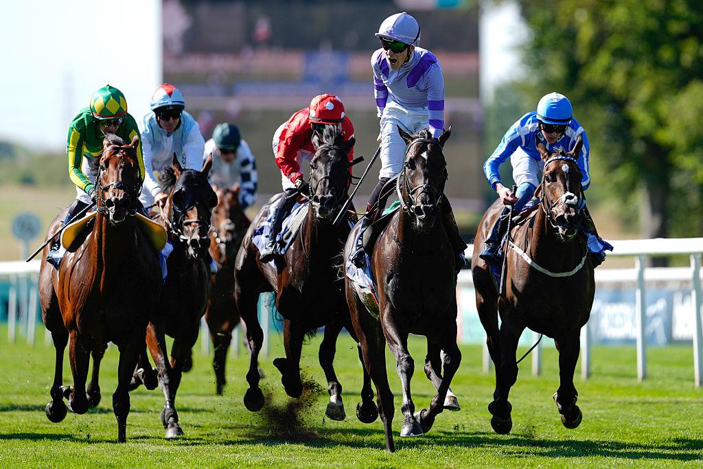 ATHARAL_KHILA's tweet photo. 🐎 كومانتشي بريف (Comanche Brave) 
بشعار الدكتور  مهيدب بن عبدالله المهيدب، @muhadb1

 حقق 5 انتصارات من أصل 14 مشاركة حتى 16 سبتمبر 2026.🏆 منها انتصاران من الفئة الأولى (G1):
كأس يوليو – بريطانيا 🇬🇧
فلاينغ فايف – أيرلندا 🇮🇪

ما القادم؟ 
منح انتصاره الأخير الجواد بطاقة تأهل إلى سباق Breeders’ Cup Turf Sprint، وأشار مدربه إلى إمكانية مشاركته في كأس المربين ثم التوجه إلى هونغ كونغ. ولم تكن هذه الخطط تأكيدًا نهائيًا للمشاركة