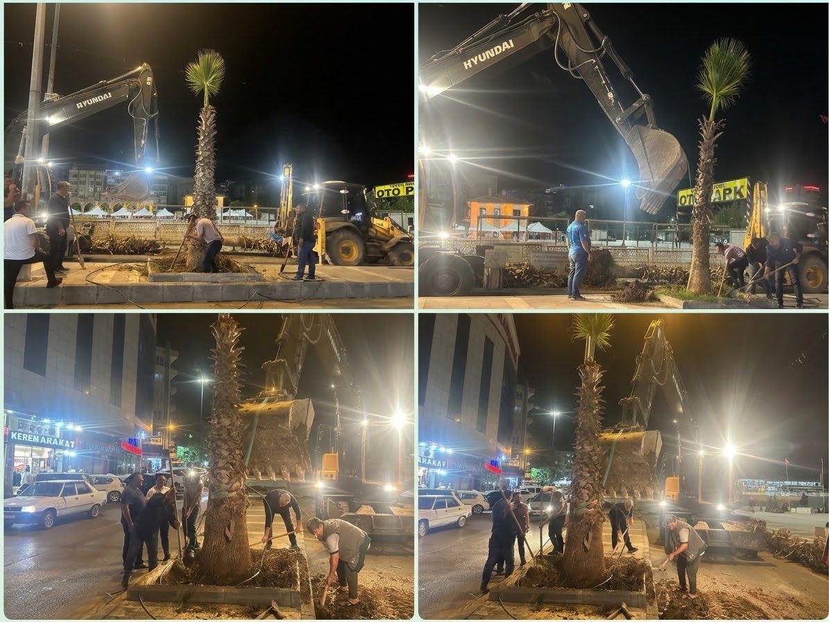 SbbPark's tweet photo. 📍Topçu Meydanı ❤️

Park ve Bahçeler Dairesi Başkanlığına bağlı ekiplerimiz;👷🚧👷

Orta refüjlerde ağaç dikme çalışmalarını hız kesmeden sürdürmektedir.🌴🌴🌴

#YeşilŞehirŞanlıurfa 

@sanliurfabld 
@MithatCanKutluc 
@halilaldeniz_ 
@sukrukaracads 
@mesuthicri https://t.co/juyGD70a1p