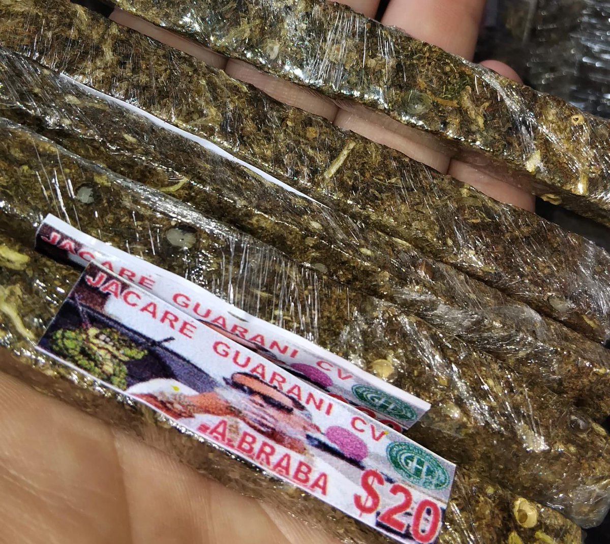 MACONHASDORIOO's tweet photo. 🍁 jacaré , Guarani 🍁 

Carga nova nesse momento https://t.co/TdIHPy6qyq