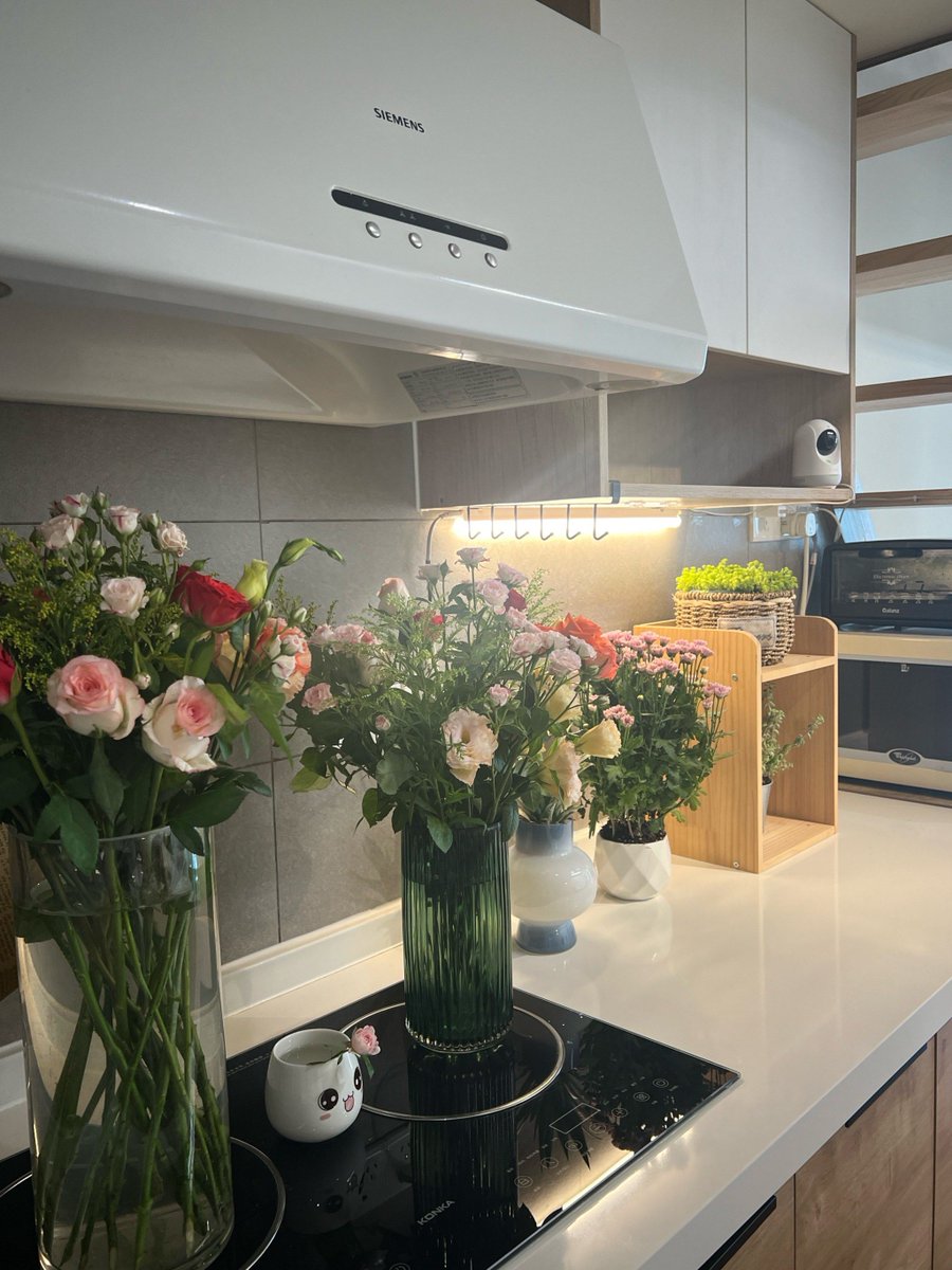 crabz093184's tweet photo. Just caught the sun hitting my freshly wiped kitchen counter—small wins make the day bright ， https://t.co/Qr8UrmUiYo