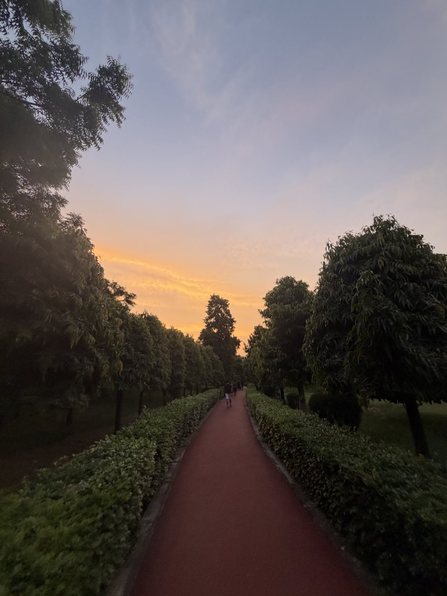 shruti_gauba's tweet photo. Fridge has Coke Zero. Friends are in town. I got told I ask good questions. Fav work cafe saved a spot for me during busiest hour. Eyes are glued to the screen. I sneak in some time to catch the sunset. Friends asked me how I’ve been, I said all is good. All is good 💐 https://t.co/1rqJx8uOcs