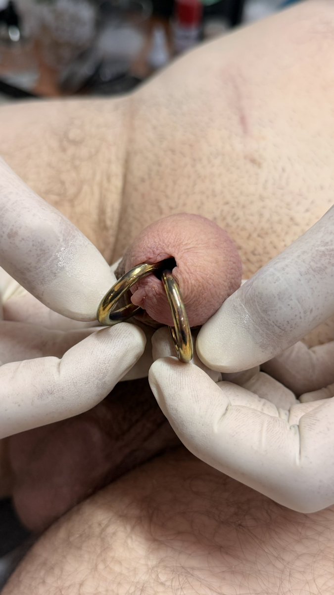 DonsBodyarts's tweet photo. Completely healed double Prince Albert ! #lovemyjob
#donsbodyarts #bodypiercing #genitalpiercing #athens https://t.co/aW4v6DOsxM