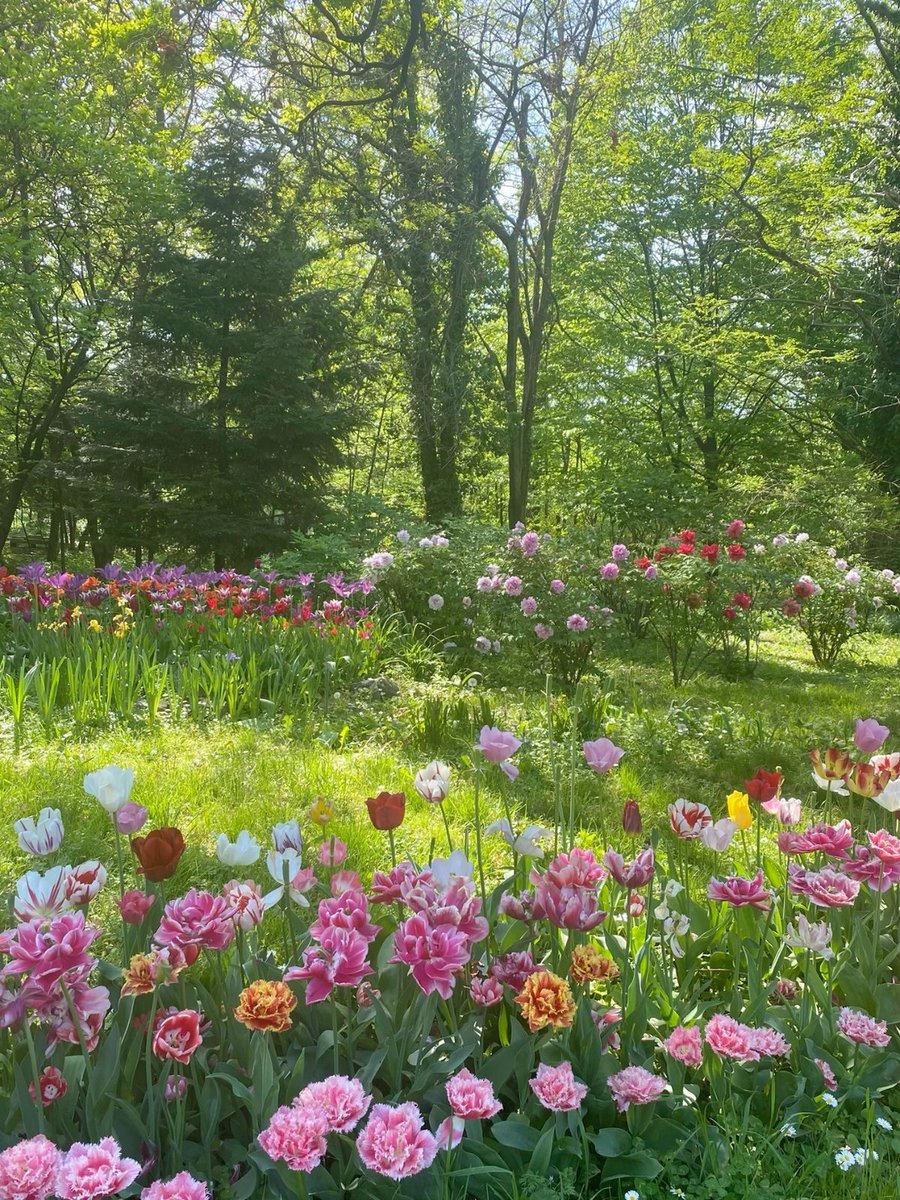 aestheticpost's tweet photo. https://t.co/Ah9k0m4wi9