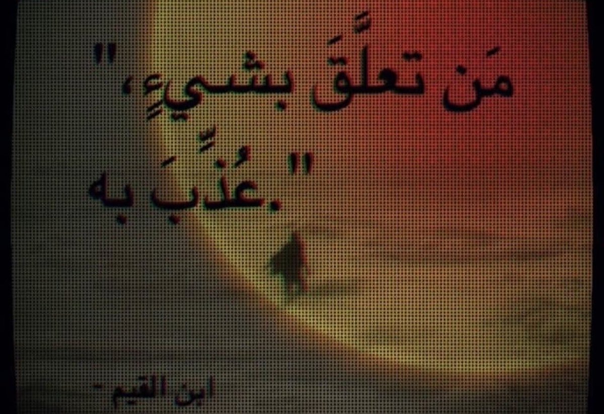 xlzxa_'s tweet photo. https://t.co/gvA1oPDDGB