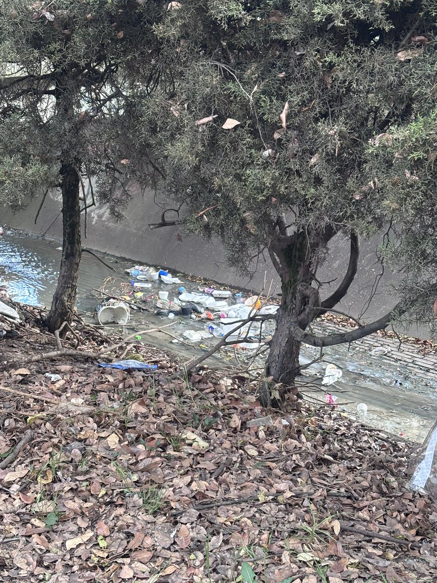 marcevalenciar's tweet photo. Necesito que esto se vuelva viral. Seguramente para algunas personas esto ya es cansón . Pero es increíble la decidía de @AcueductoBogota @AguasBogota señores ustedes no crearon un eje ambiental, hicieron un muladar. Esto necesita de cuidados y atención, por favor RT . Gracias https://t.co/bJUah71DvO
